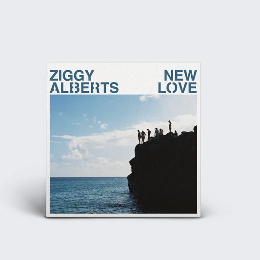 NEW LOVE 12" VINYL